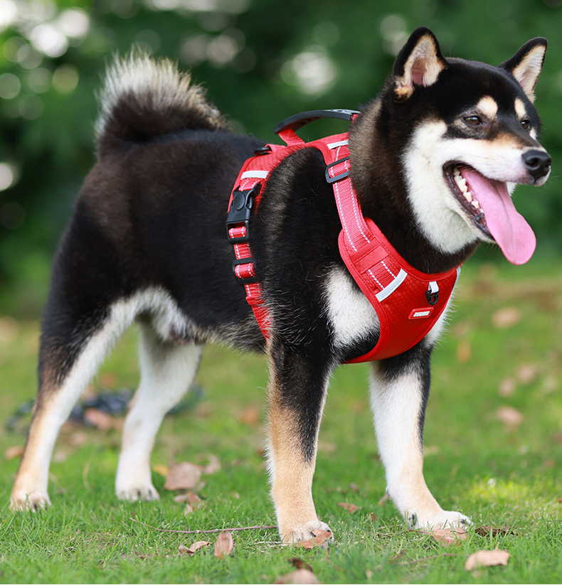 Pet Harness Red - Image 2
