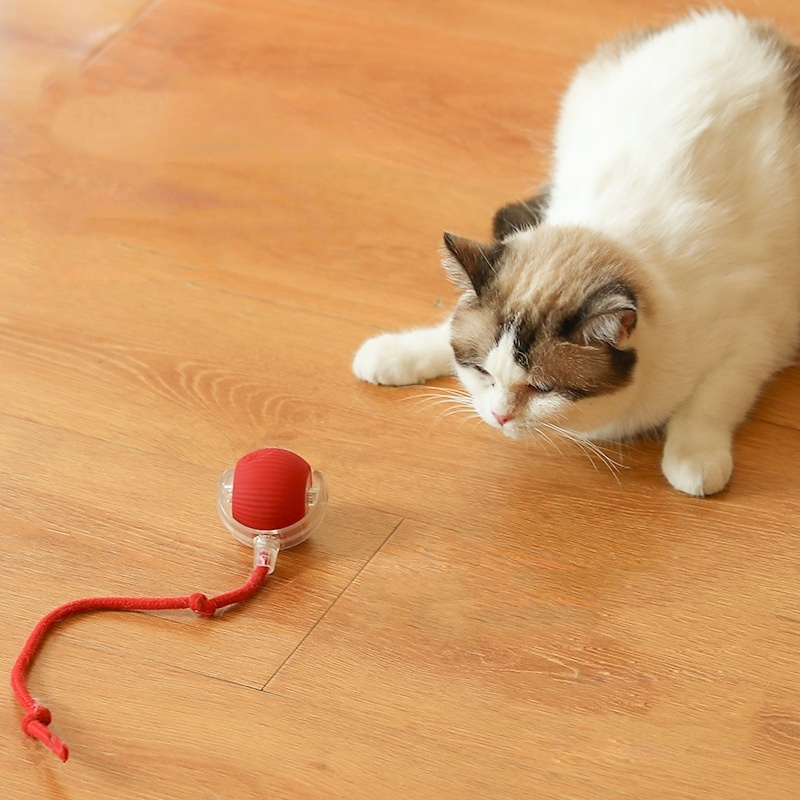 Smart Rolling Interactive Cat Toy Ball - Image 2