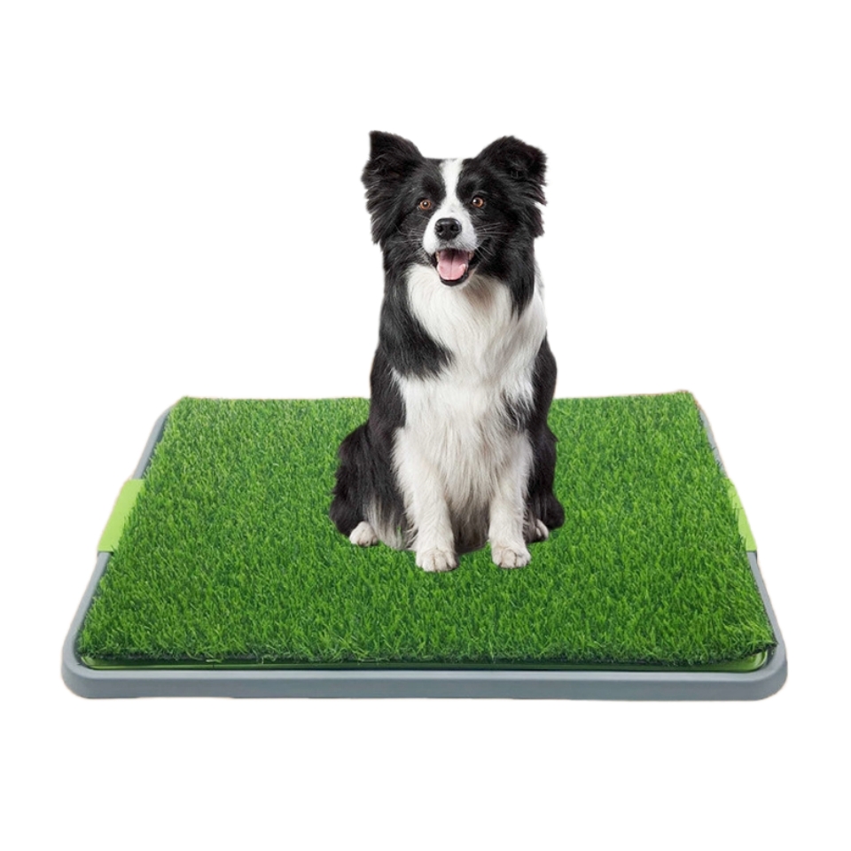 Potty Pad - Image 2