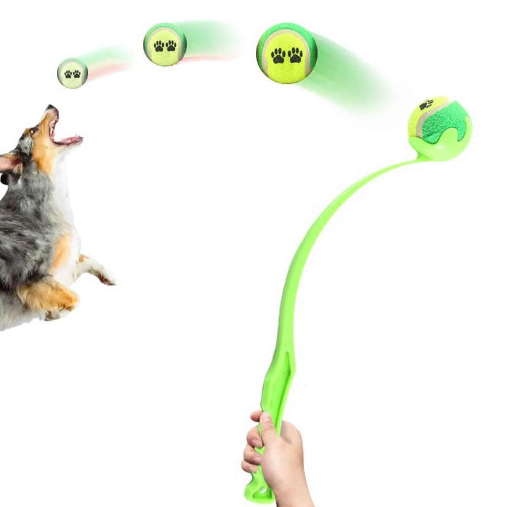 Interactive Dog Ball Launcher - Image 2
