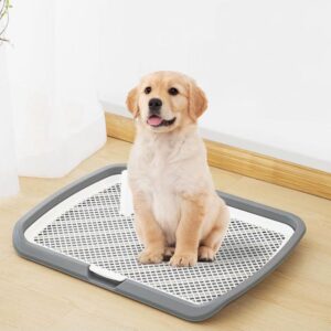 Potty Pad