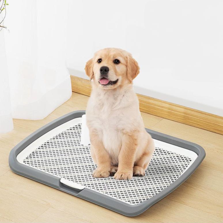 Potty Pad