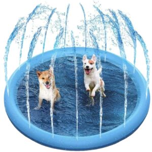 Dog Splash Sprinkler Pool