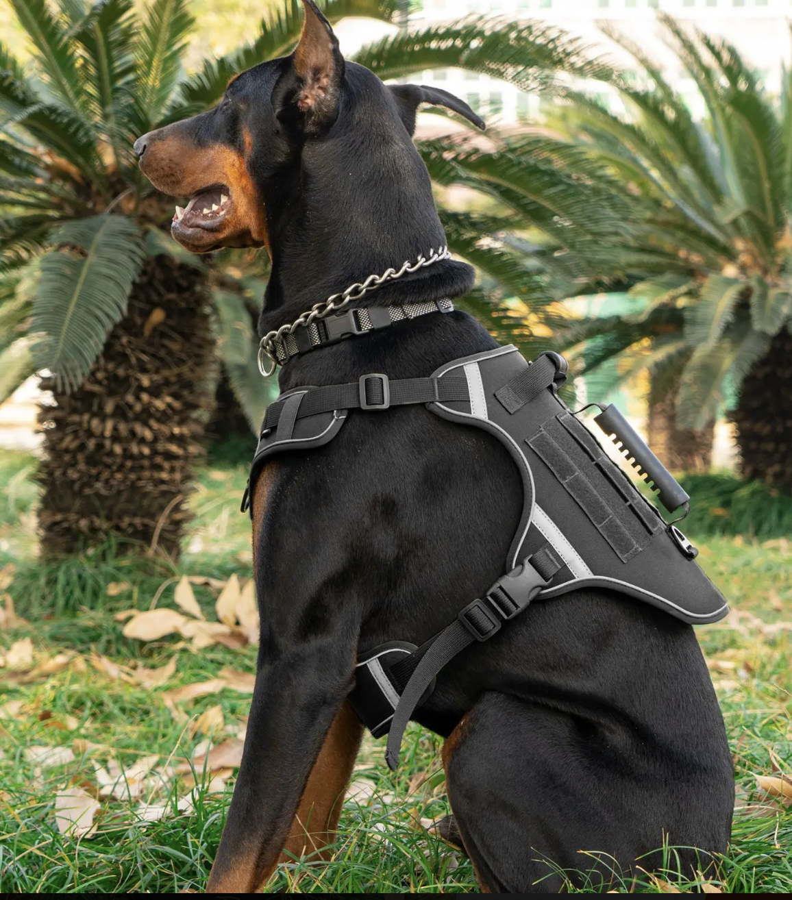Tactical No-Pull Dog Harness with Handle - Image 3