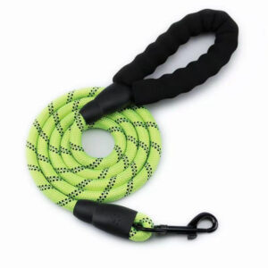 Rope Leash- Green