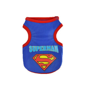 Superman T-Shirt