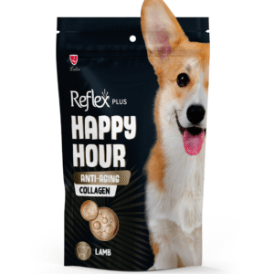 Reflex Happy Hour Dog Treat Lamb Anti Aging Collagen 60g